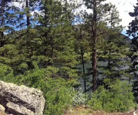 Beaver Pass Campground