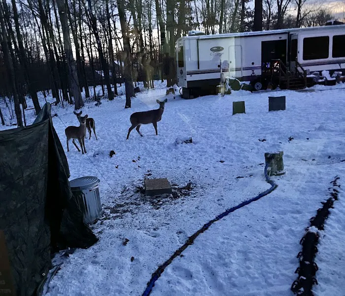 Silverville RV Park All Year Rental Picture 2
