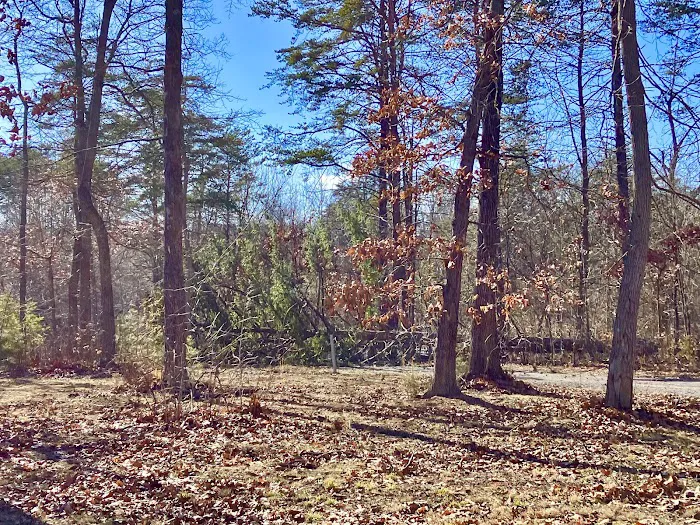 Silverville RV Park All Year Rental Picture 5