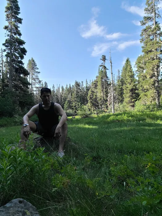 Rainy Lake Campground Picture 7