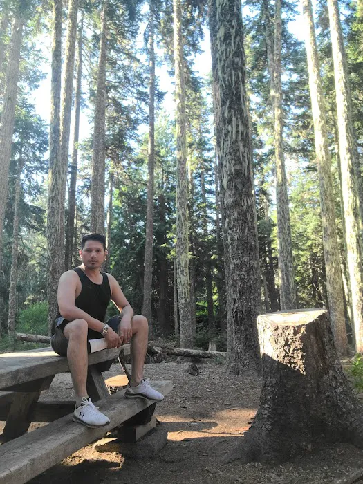Rainy Lake Campground Picture 5