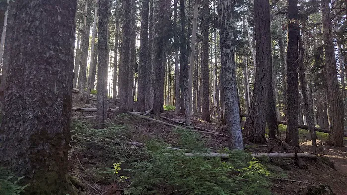 Rainy Lake Campground Picture 8