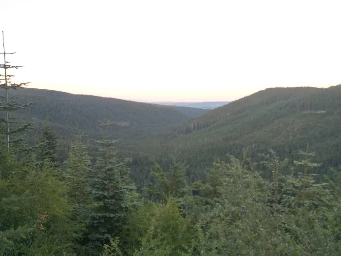 Black Lake Campground Picture 2