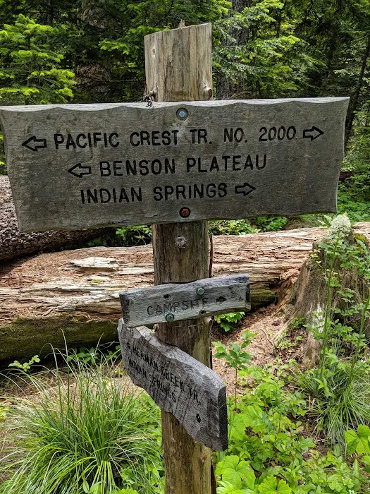 Wahtum Lake Campground Picture 7