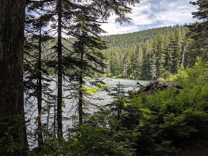 Wahtum Lake Campground Picture 9