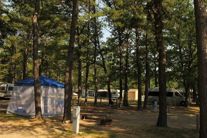 Yankeeland RV Resort Picture 7