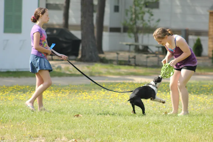 Yankeeland RV Resort Picture 10