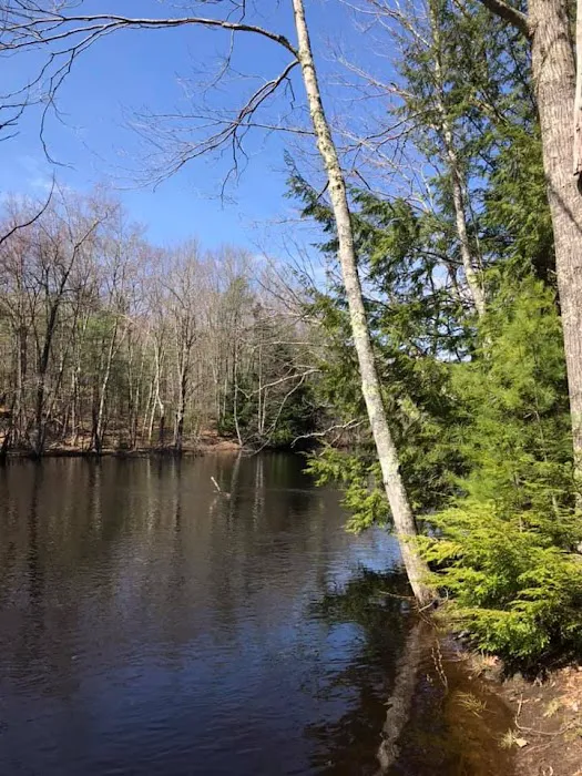 Yankeeland RV Resort Picture 1