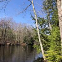 Yankeeland RV Resort ico