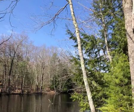 Yankeeland RV Resort