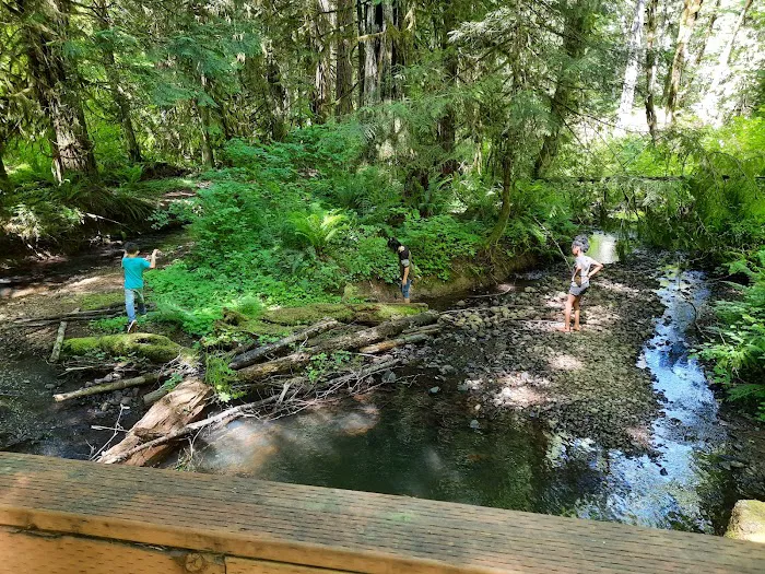 Camp Wilkerson Park Picture 6