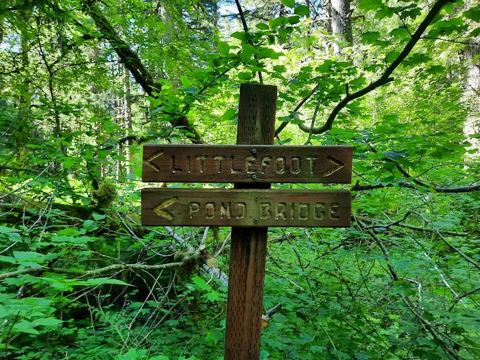 Camp Wilkerson Park Picture 5
