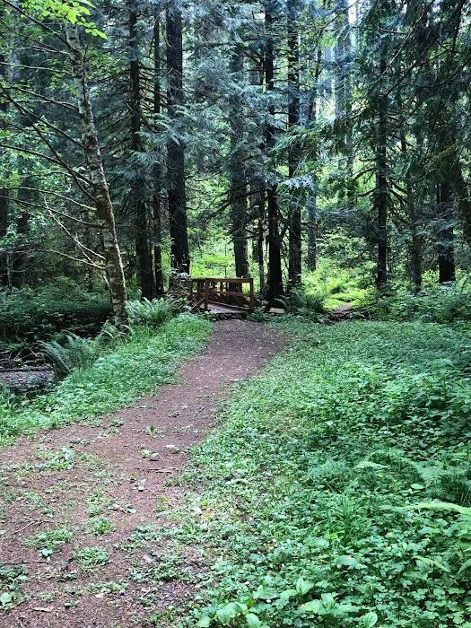 Camp Wilkerson Park Picture 7