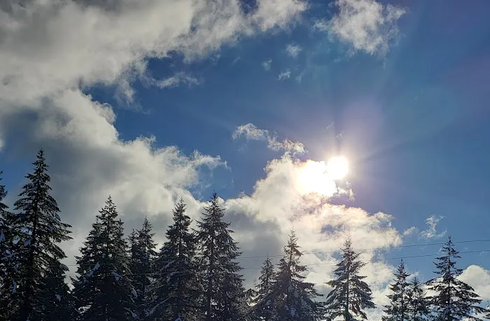 Mountaindale Sun Resort Picture 7