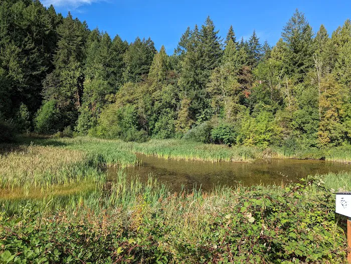 Hares Canyon Horse Camp Picture 5