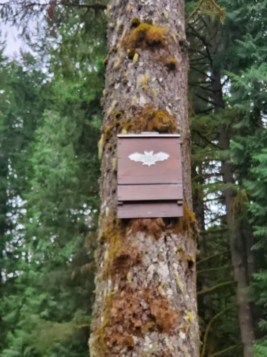 Hares Canyon Horse Camp Picture 2