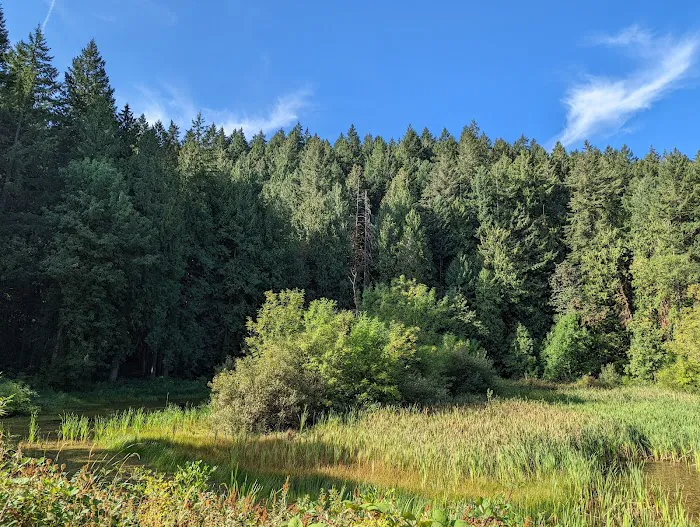 Hares Canyon Horse Camp Picture 8
