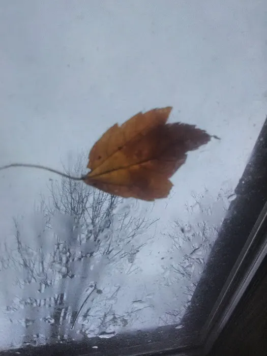 Hares Canyon Horse Camp Picture 11