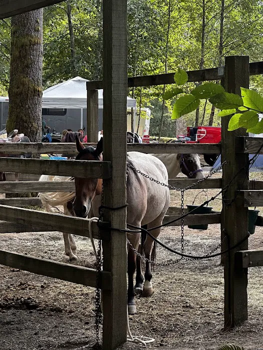 Hares Canyon Horse Camp Picture 21
