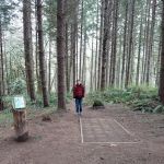 Mountain Dale Cabin Village