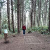 Mountain Dale Cabin Village ico