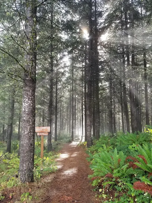 Dairy Creek Camp West Picture 2