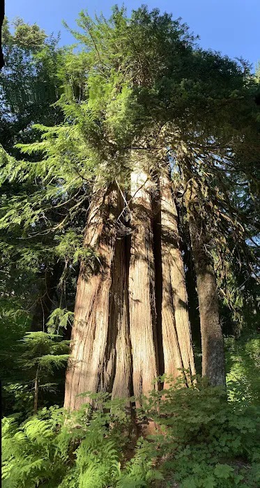 Lost Lake Campground F Loop First Come First Serve Sites Picture 3