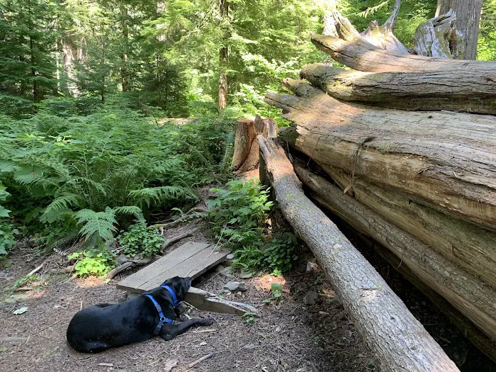 Lost Lake Campground F Loop First Come First Serve Sites Picture 5