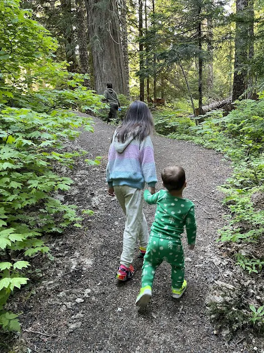 Lost Lake Campground F Loop First Come First Serve Sites Picture 10