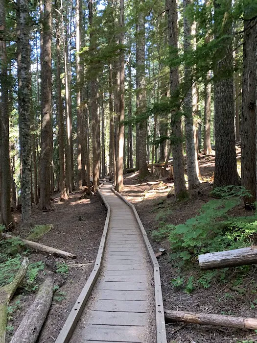 Lost Lake Organisation Camp Picture 5