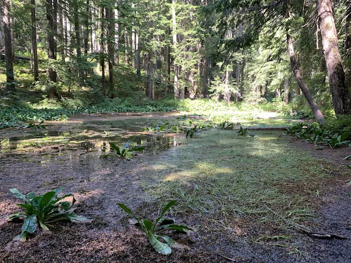 Lost Lake Organisation Camp Picture 6