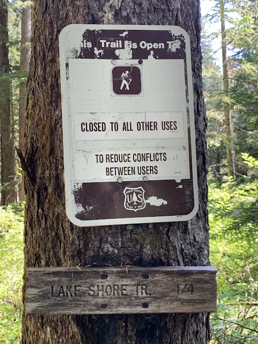 Lost Lake Organisation Camp Picture 8