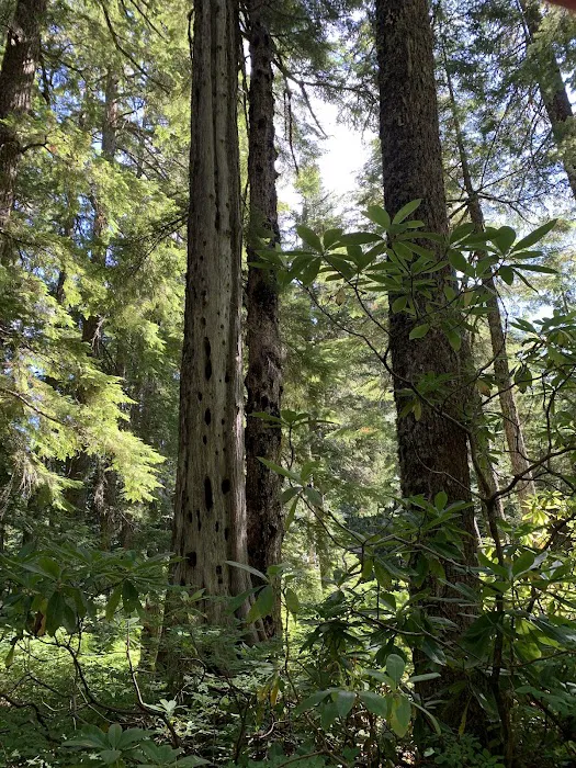Lost Lake Organisation Camp Picture 9