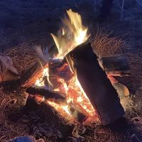 Camp Calvin ico