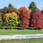 Deer Meadow Mobile Home Park