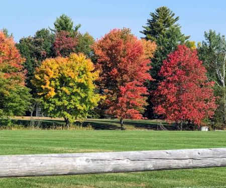 Deer Meadow Mobile Home Park