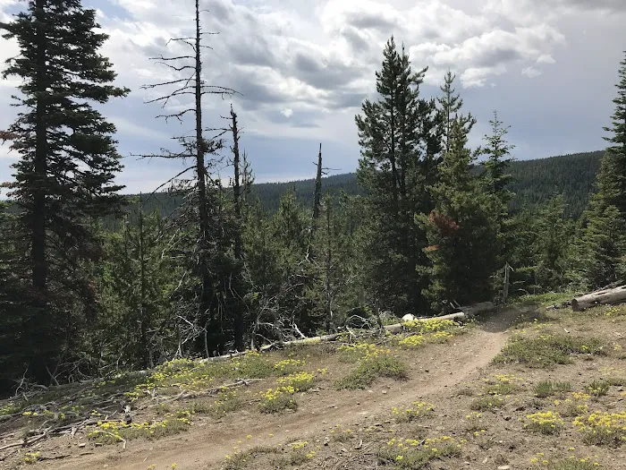 Knebal Springs Campground Picture 9