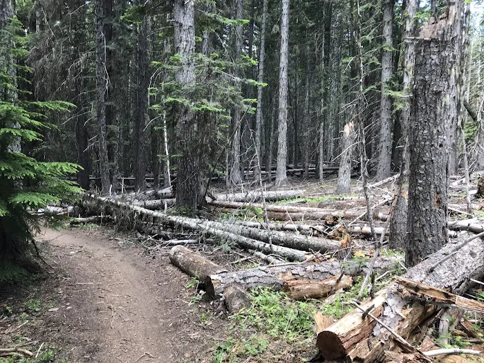 Knebal Springs Campground Picture 5