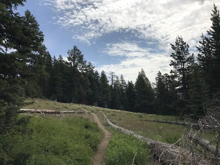 Knebal Springs Campground Picture 8