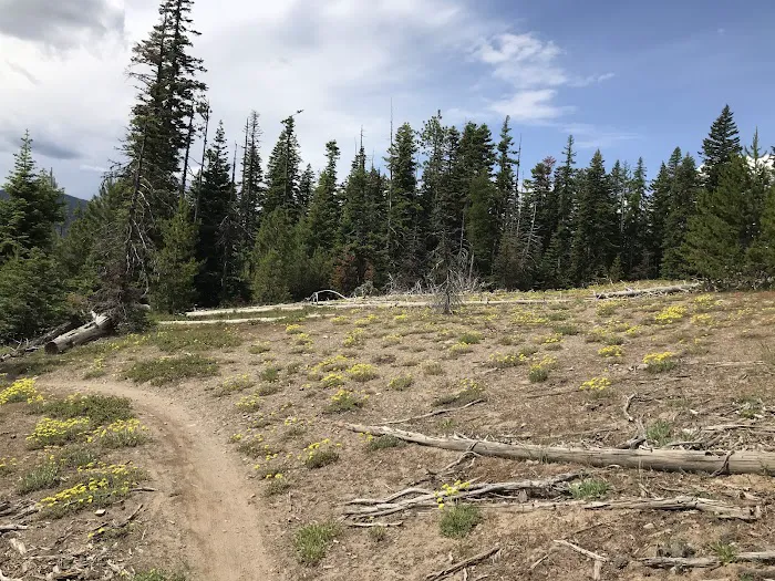 Knebal Springs Campground Picture 6