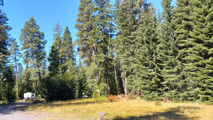 Knebal Springs Campground Picture 4