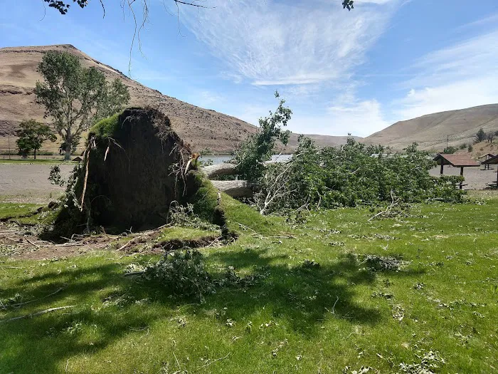 Lepage Park Picture 5