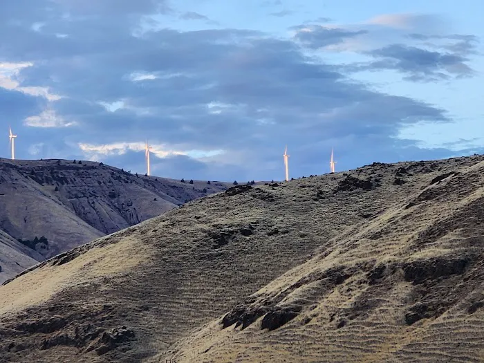 Lepage Park Picture 8