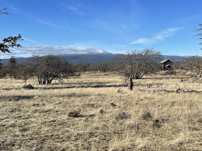 KLICKITAT VIEW CABIN Picture 4