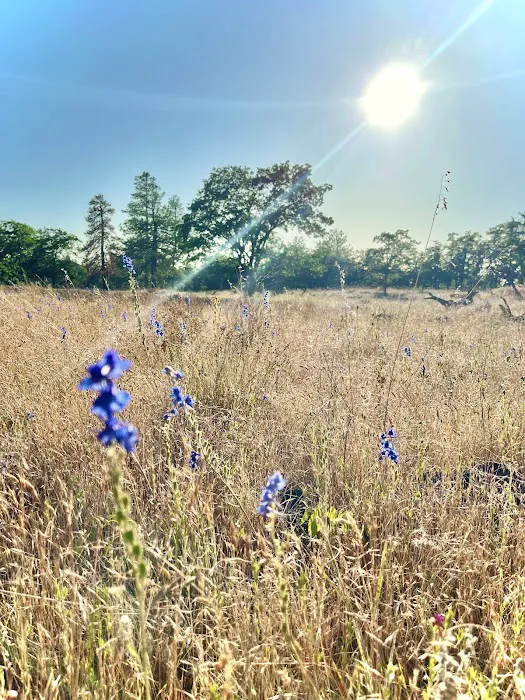 KLICKITAT VIEW CABIN Picture 2