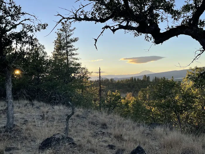 KLICKITAT VIEW CABIN Picture 10