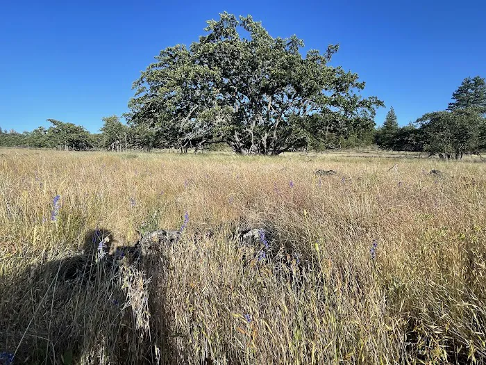 KLICKITAT VIEW CABIN Picture 7