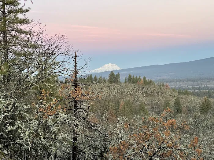 KLICKITAT VIEW CABIN Picture 9