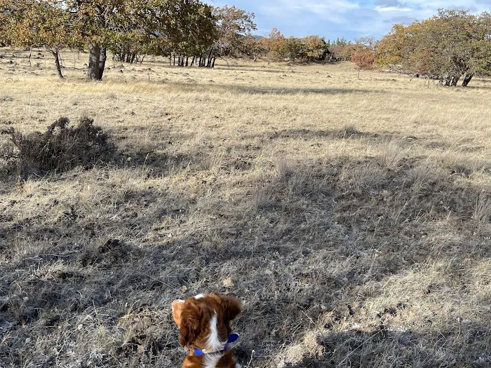 KLICKITAT VIEW CABIN Picture 8