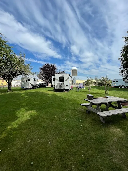 Oostema Farmstead - Peaceful Vacation Rentals and Campground Picture 4